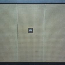 Kipptor mit Birkensperrholz beplankt